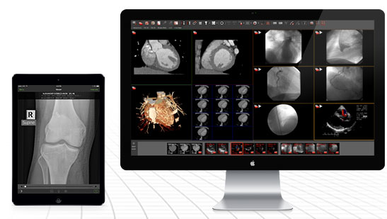 Visage 7 программа