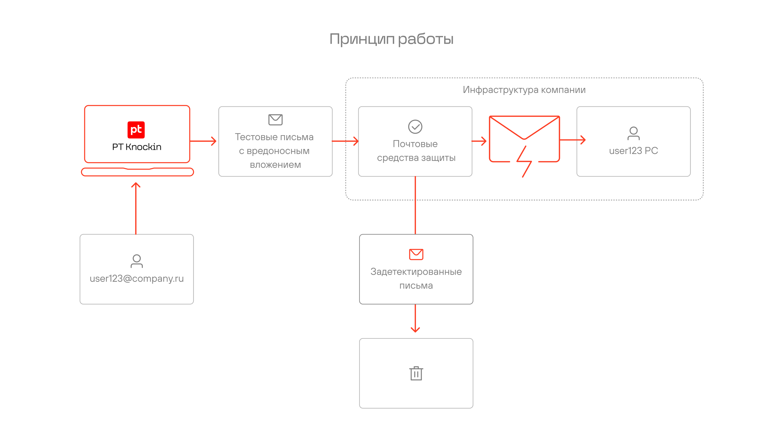 PT Knockin программа