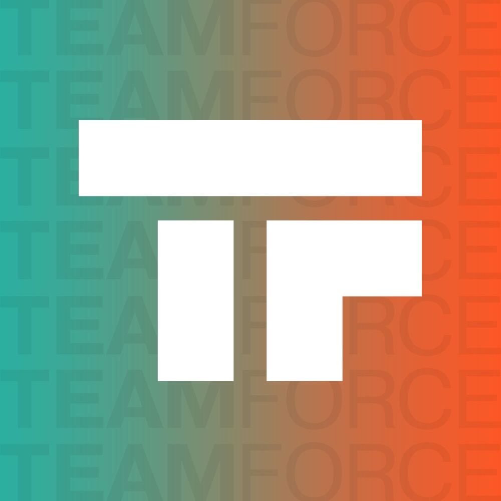 TEAM FORCE (ТИМ ФОРС)