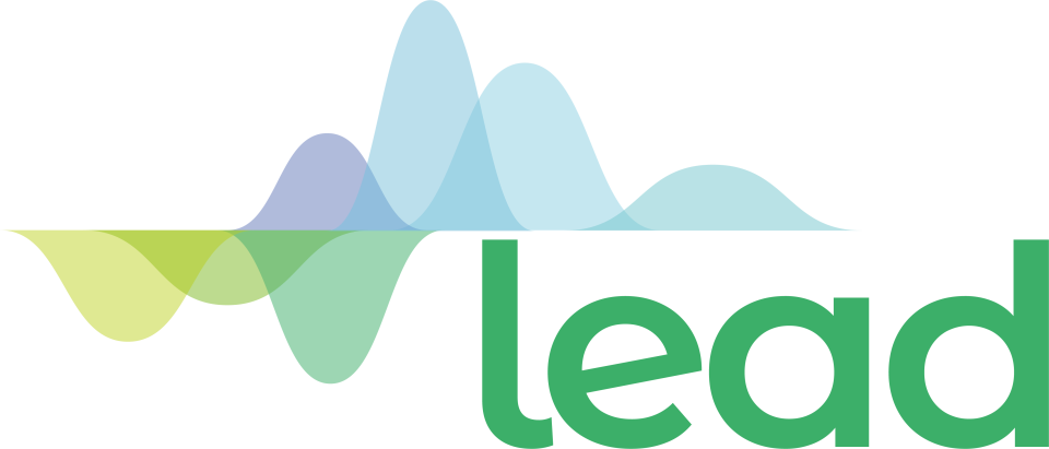 Lead программа