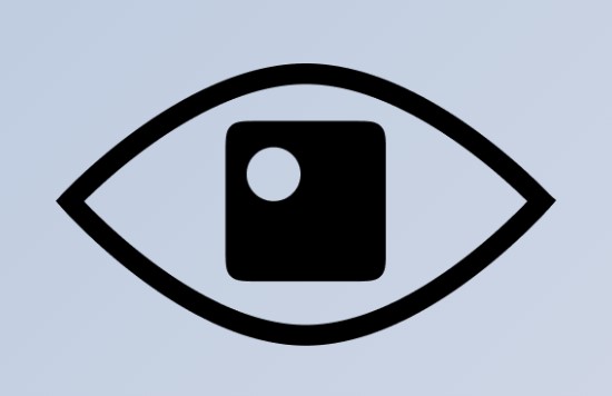 PT Application Inspector