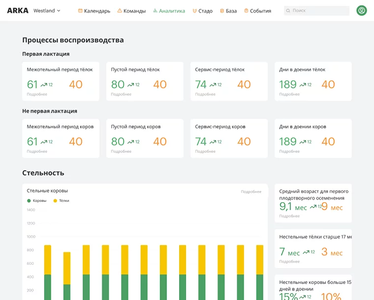 АРКА программа