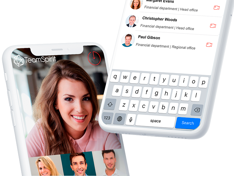 Team Spirit IM программа