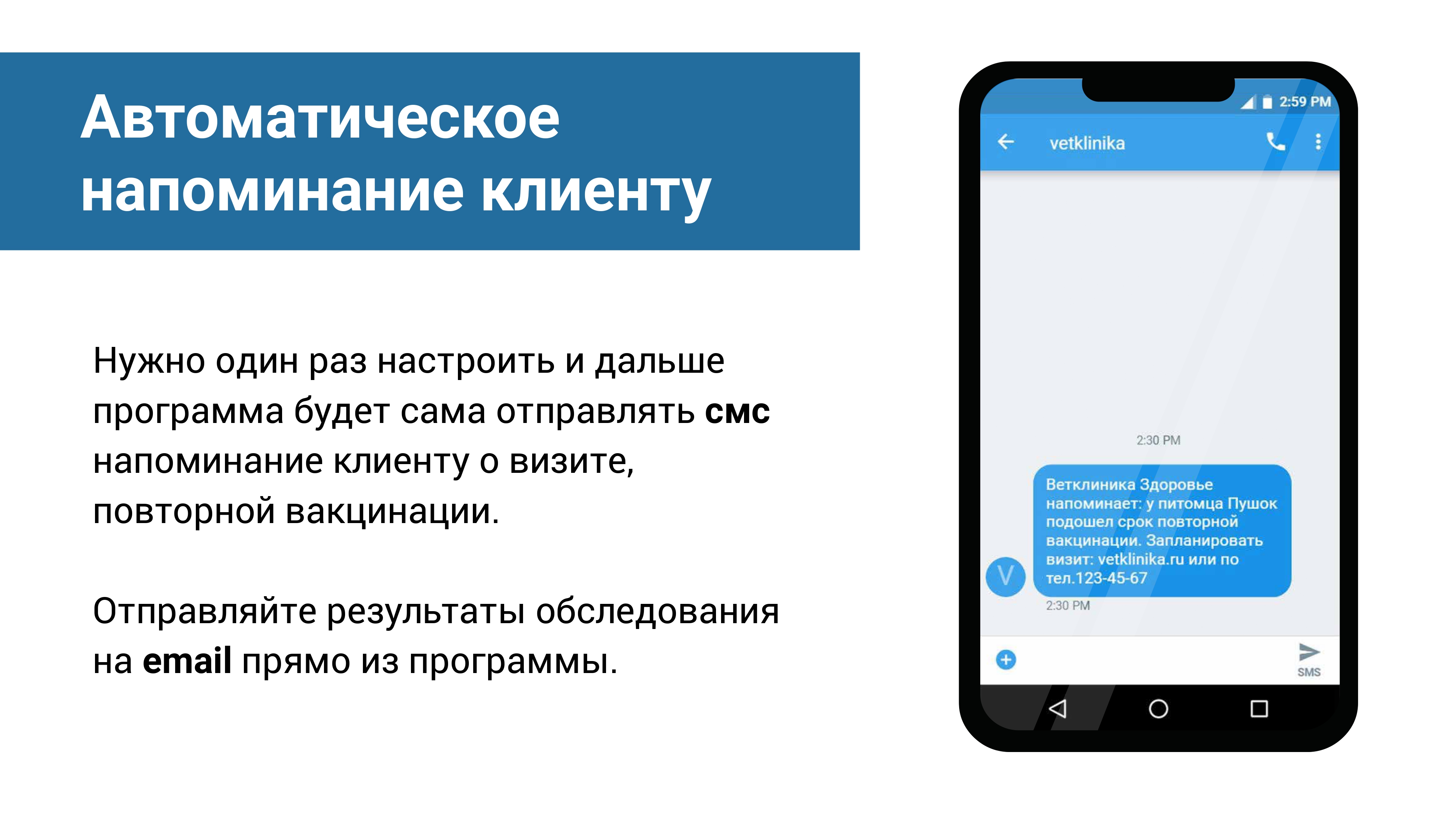 Ветменеджер программа