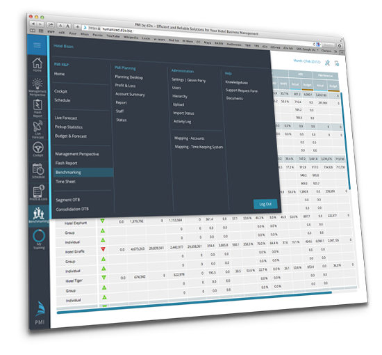 PMI программа