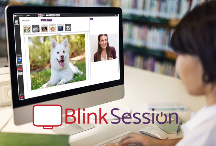 Blink Session