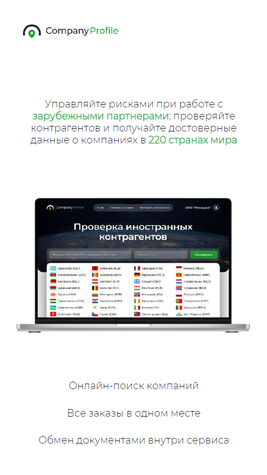 Company profile программа