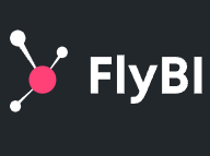 FlyBI
