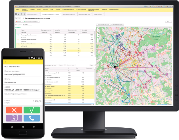 Мегалогист TMS