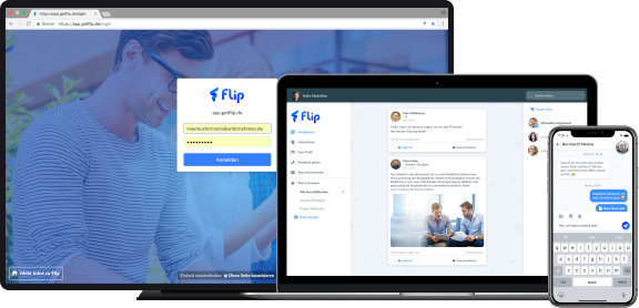 Flip программа