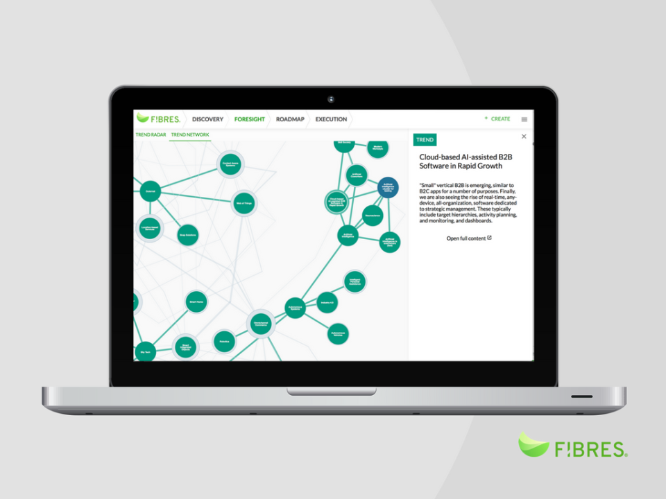 FIBRES программа