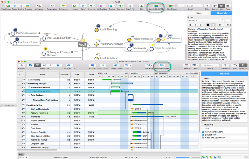 ConceptDraw MINDMAP