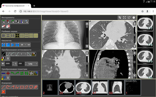 Гамма Мультивокс ВЕБ