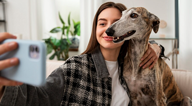 Автоматизация гостиницы для животных: как открыть и оптимизировать бизнес-процессы, выбор программ для зоогостиниц