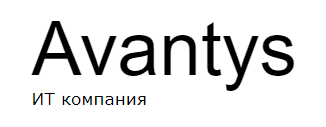 Avantys ERP Lite