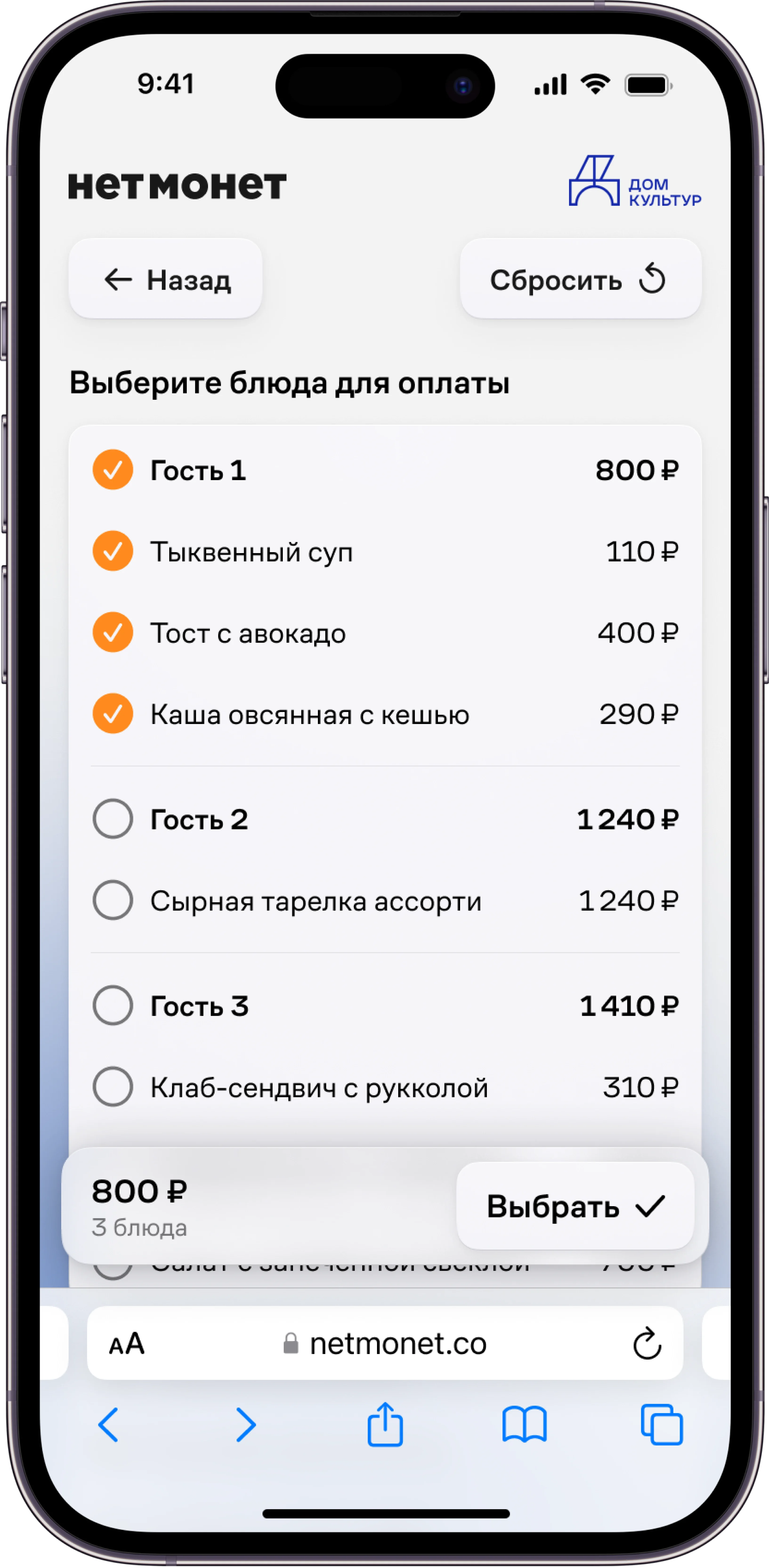 нетмонет программа