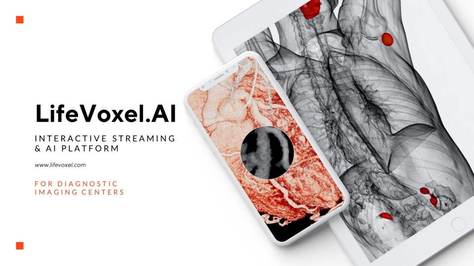 LifeVoxel.AI характеристики