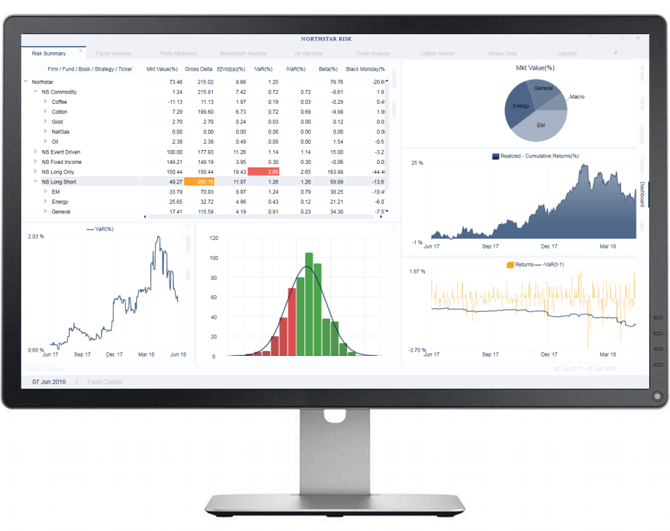 Northstar Risk and Performance Analysis Platform программа