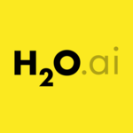 H2O Driverless AI