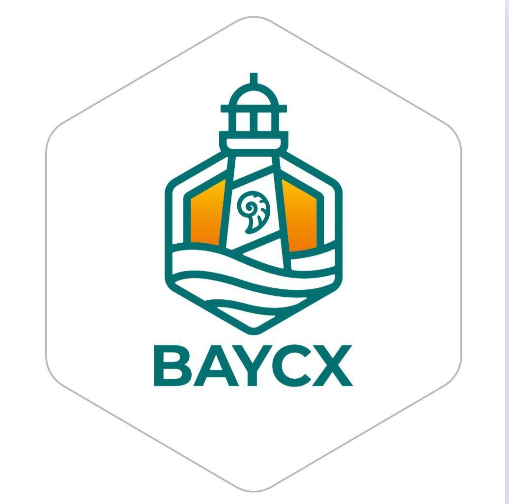 BayCX