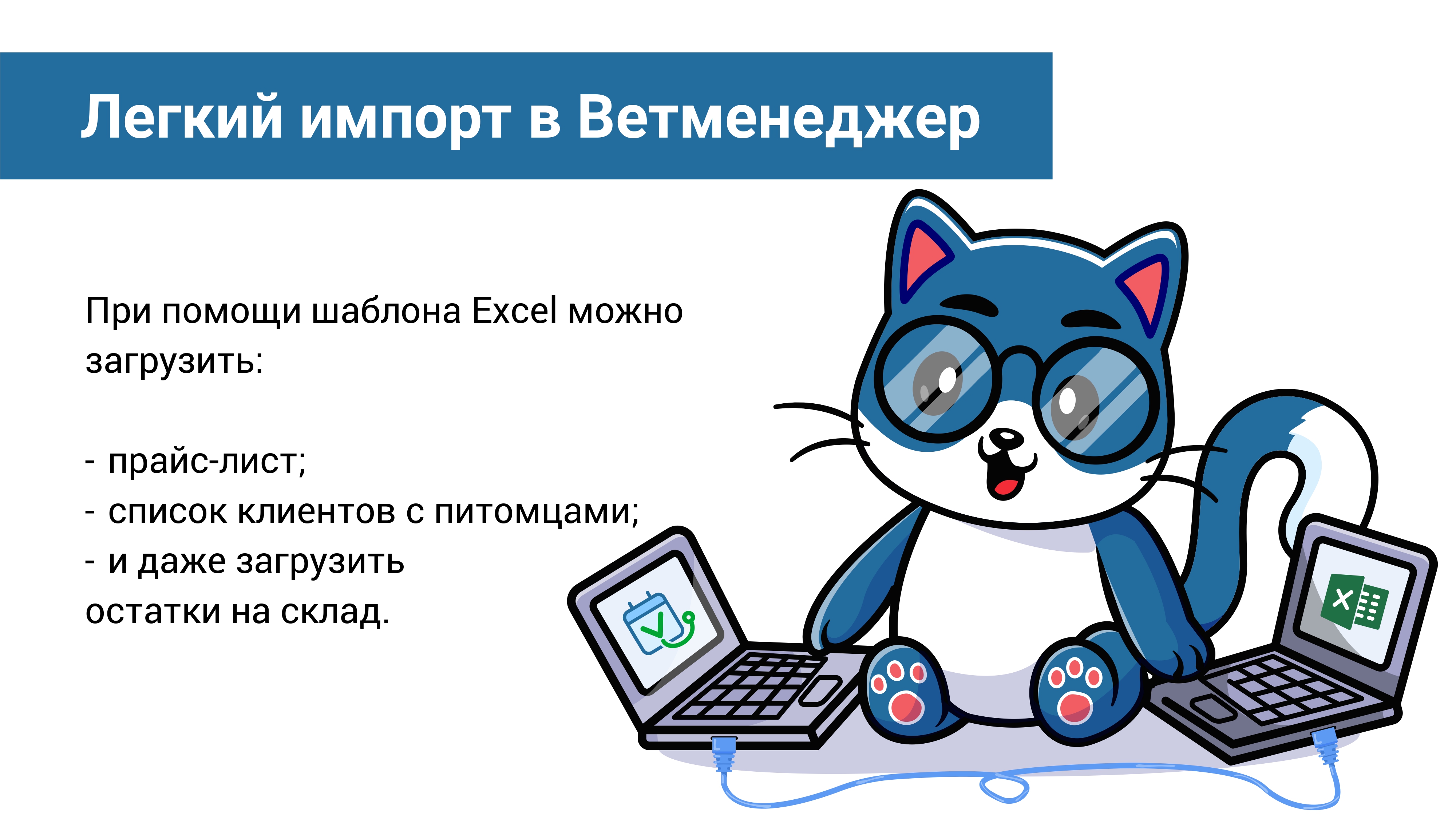 Ветменеджер ПО