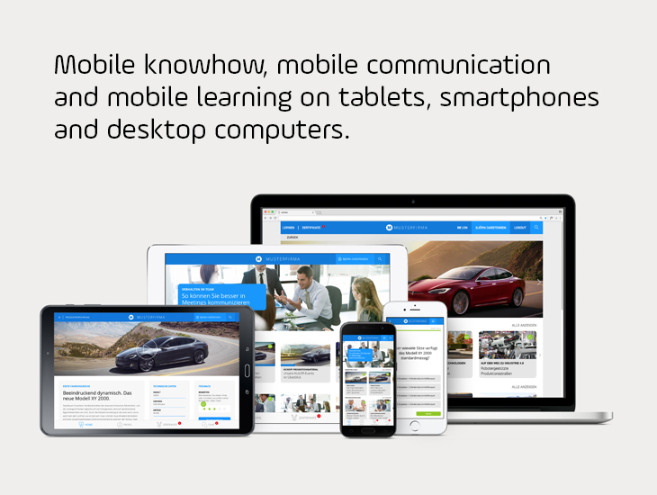 Lemon характеристики