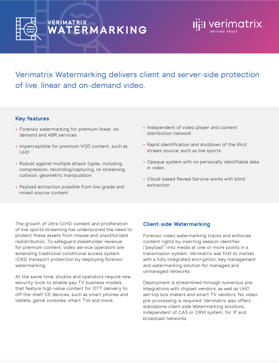 Verimatrix Watermarking программа