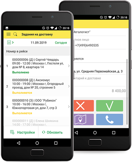 Мегалогист TMS