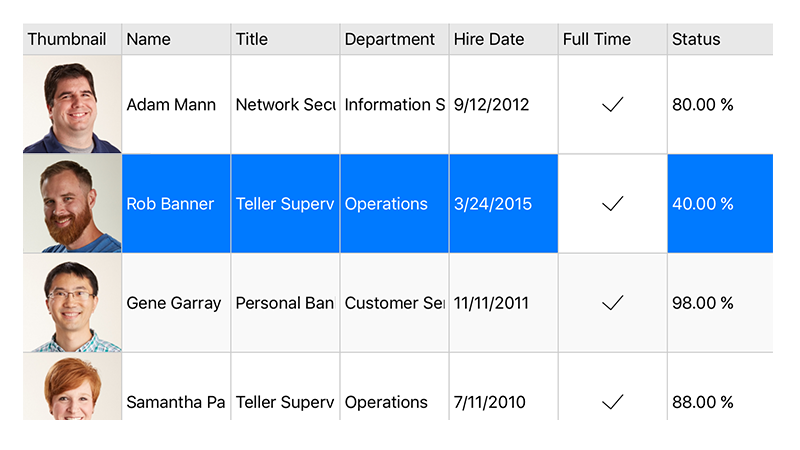 C1Studio for Xamarin характеристики