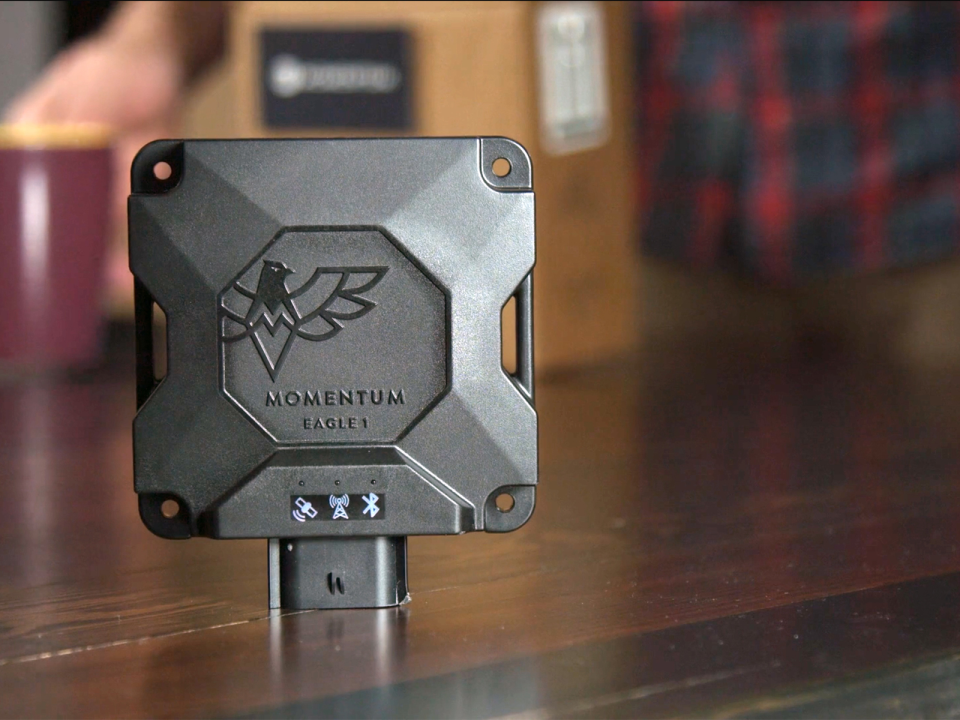 Momentum IoT программа