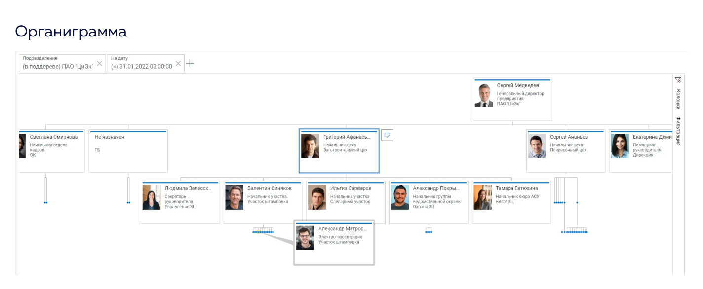 OrgVision программа