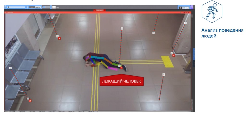 Интеллект Х