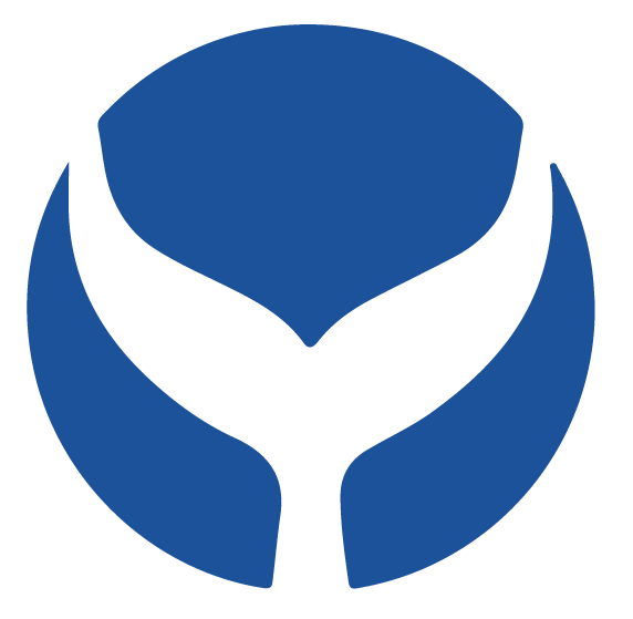 КИТ Консалтинг