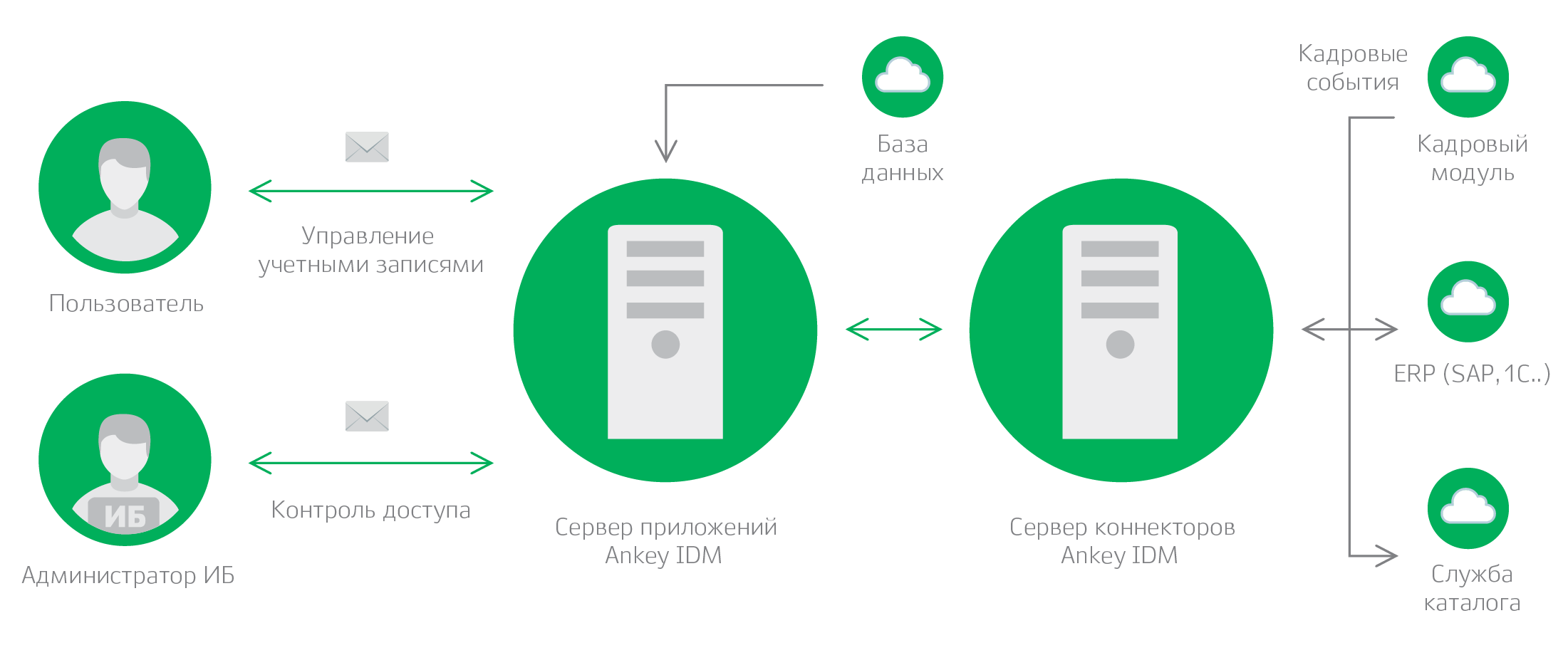 Ankey IDM программа