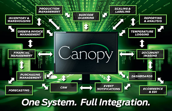 Canopy Enterprise Solution программа