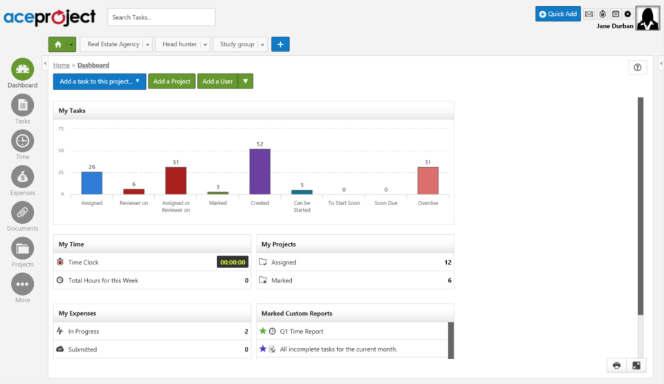 AceProject характеристики