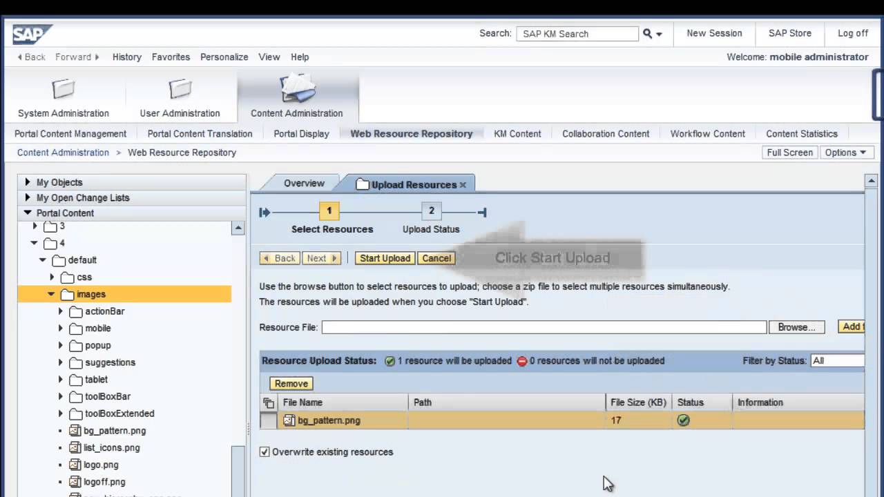 SAP NetWeaver Portal