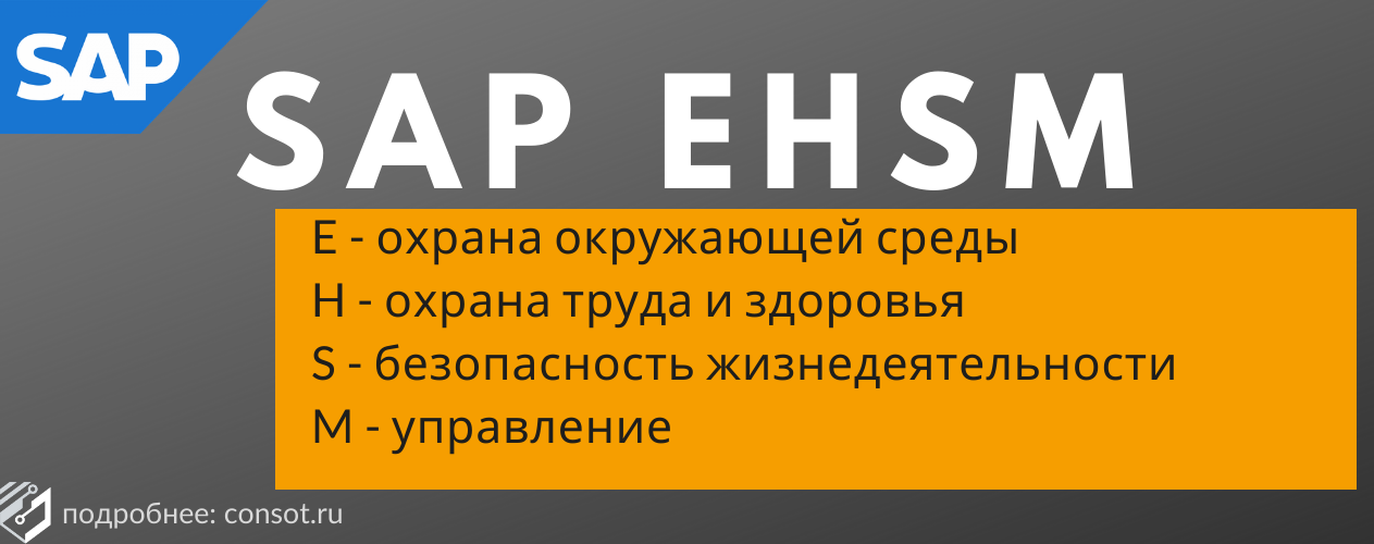 SAP EHSM программа
