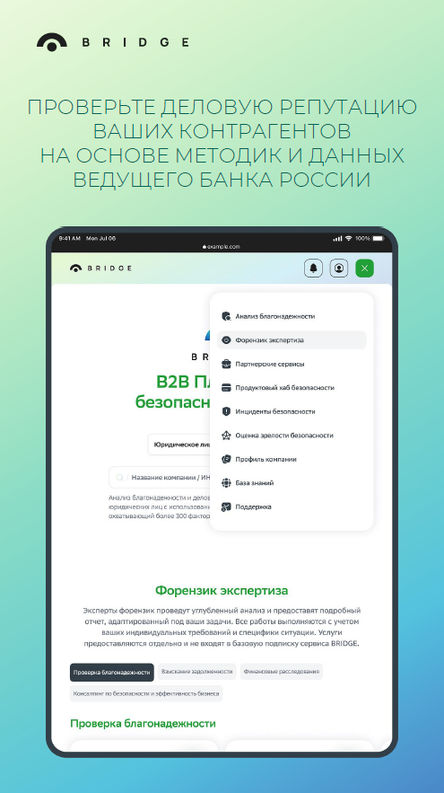 Bridge программа