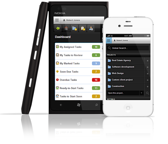 AceProject программа