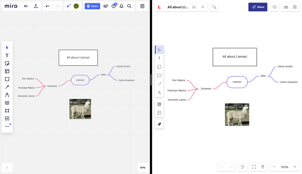 Lucidspark программа