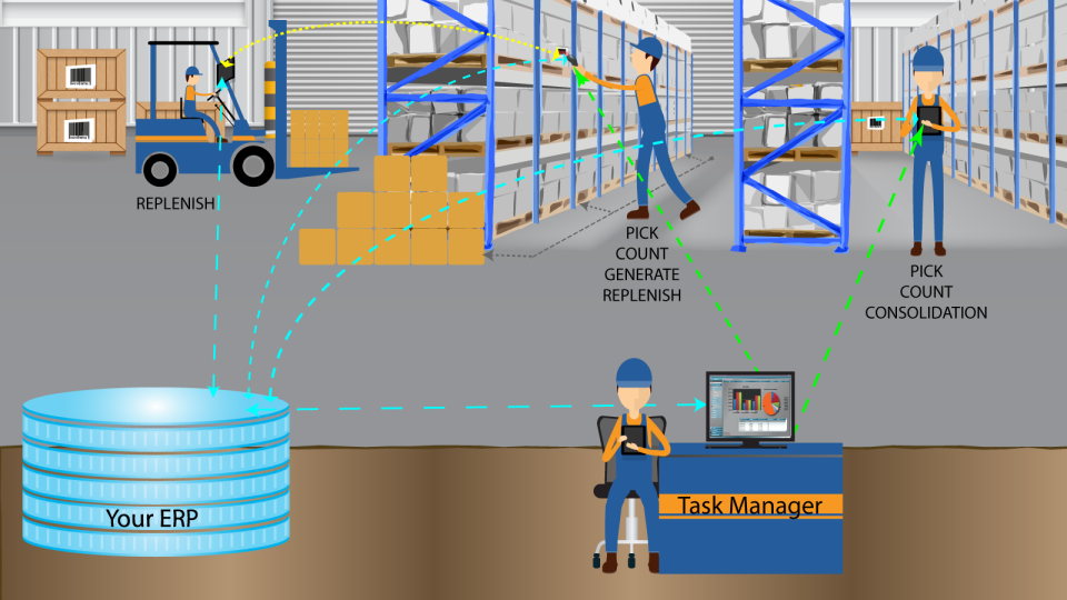 Radley Warehouse Management подбор