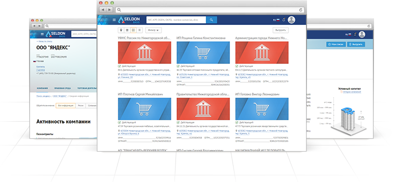 Seldon.Basis программа