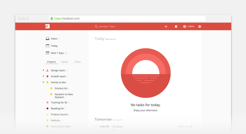 Todoist программа