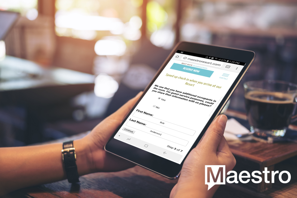 Maestro PMS программа