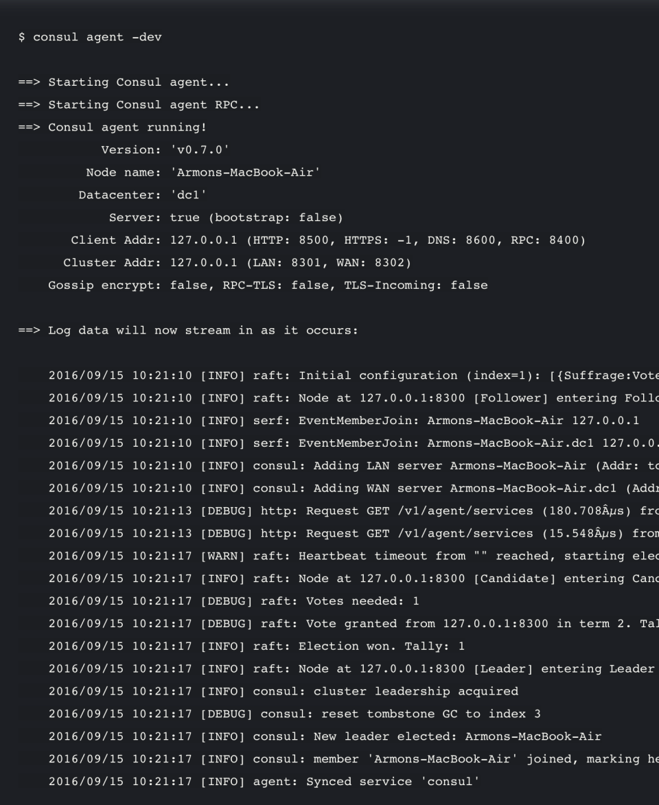 Hashicorp Consul ПО