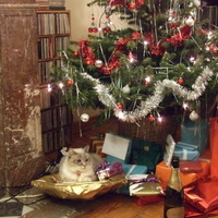 Дмитрий Перов