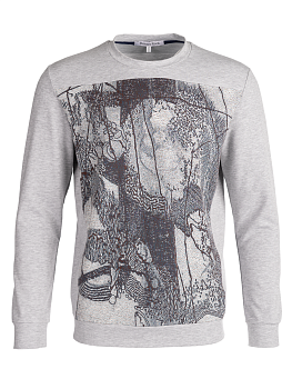 Свитшот "Принт на полочке"