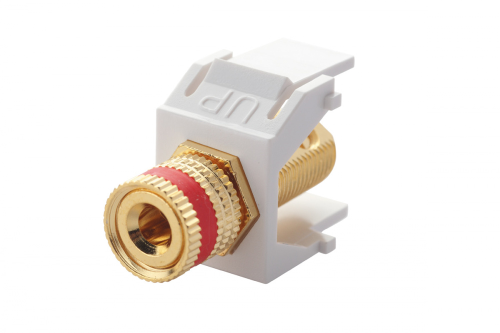EUROLAN 16B-BP-04WT