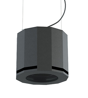 CVGaudio SUBone model D-6BL/CR/T